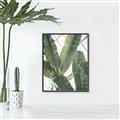 Picture of Banana Plant _GroupedProduct_Rectangle_Portrait_Photography _GroupedProduct_Rectangle_Portrait_Canvas_Framed_