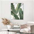 Picture of Banana Plant _GroupedProduct_Rectangle_Portrait_Photography _GroupedProduct_Rectangle_Portrait_Canvas_Framed_