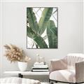 Picture of Banana Plant _GroupedProduct_Rectangle_Portrait_Photography _GroupedProduct_Rectangle_Portrait_Canvas_Framed_