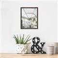 Picture of Tropical Greenhouse lll _GroupedProduct_Rectangle_Portrait_Photography _GroupedProduct_Rectangle_Portrait_Canvas_Framed_
