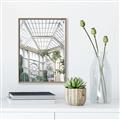 Picture of Tropical Greenhouse lll _GroupedProduct_Rectangle_Portrait_Photography _GroupedProduct_Rectangle_Portrait_Canvas_Framed_