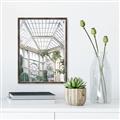Picture of Tropical Greenhouse lll _GroupedProduct_Rectangle_Portrait_Photography _GroupedProduct_Rectangle_Portrait_Canvas_Framed_