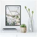 Picture of Tropical Greenhouse lll _GroupedProduct_Rectangle_Portrait_Photography _GroupedProduct_Rectangle_Portrait_Canvas_Framed_