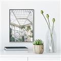 Picture of Tropical Greenhouse lll _GroupedProduct_Rectangle_Portrait_Photography _GroupedProduct_Rectangle_Portrait_Canvas_Framed_