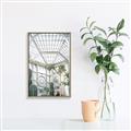 Picture of Tropical Greenhouse lll _GroupedProduct_Rectangle_Portrait_Photography _GroupedProduct_Rectangle_Portrait_Canvas_Framed_