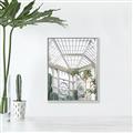 Picture of Tropical Greenhouse lll _GroupedProduct_Rectangle_Portrait_Photography _GroupedProduct_Rectangle_Portrait_Canvas_Framed_