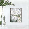 Picture of Tropical Greenhouse lll _GroupedProduct_Rectangle_Portrait_Photography _GroupedProduct_Rectangle_Portrait_Canvas_Framed_