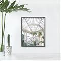 Picture of Tropical Greenhouse lll _GroupedProduct_Rectangle_Portrait_Photography _GroupedProduct_Rectangle_Portrait_Canvas_Framed_