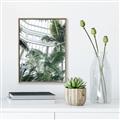 Picture of Tropical Greenhouse ll _GroupedProduct_Rectangle_Portrait_Photography _GroupedProduct_Rectangle_Portrait_Canvas_Framed_