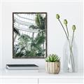 Picture of Tropical Greenhouse ll _GroupedProduct_Rectangle_Portrait_Photography _GroupedProduct_Rectangle_Portrait_Canvas_Framed_