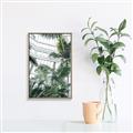 Picture of Tropical Greenhouse ll _GroupedProduct_Rectangle_Portrait_Photography _GroupedProduct_Rectangle_Portrait_Canvas_Framed_