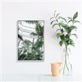 Picture of Tropical Greenhouse ll _GroupedProduct_Rectangle_Portrait_Photography _GroupedProduct_Rectangle_Portrait_Canvas_Framed_