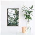 Picture of Tropical Greenhouse ll _GroupedProduct_Rectangle_Portrait_Photography _GroupedProduct_Rectangle_Portrait_Canvas_Framed_