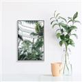 Picture of Tropical Greenhouse ll _GroupedProduct_Rectangle_Portrait_Photography _GroupedProduct_Rectangle_Portrait_Canvas_Framed_