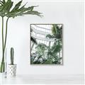 Picture of Tropical Greenhouse ll _GroupedProduct_Rectangle_Portrait_Photography _GroupedProduct_Rectangle_Portrait_Canvas_Framed_