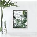 Picture of Tropical Greenhouse ll _GroupedProduct_Rectangle_Portrait_Photography _GroupedProduct_Rectangle_Portrait_Canvas_Framed_