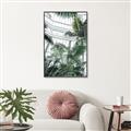 Picture of Tropical Greenhouse ll _GroupedProduct_Rectangle_Portrait_Photography _GroupedProduct_Rectangle_Portrait_Canvas_Framed_