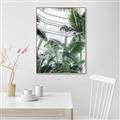 Picture of Tropical Greenhouse ll _GroupedProduct_Rectangle_Portrait_Photography _GroupedProduct_Rectangle_Portrait_Canvas_Framed_