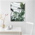 Picture of Tropical Greenhouse ll _GroupedProduct_Rectangle_Portrait_Photography _GroupedProduct_Rectangle_Portrait_Canvas_Framed_