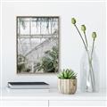 Picture of Green house IV _GroupedProduct_Rectangle_Portrait_Photography _GroupedProduct_Rectangle_Portrait_Canvas_Framed_