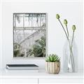Picture of Green house IV _GroupedProduct_Rectangle_Portrait_Photography _GroupedProduct_Rectangle_Portrait_Canvas_Framed_