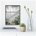 Picture of Green house IV _GroupedProduct_Rectangle_Portrait_Photography _GroupedProduct_Rectangle_Portrait_Canvas_Framed_