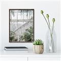 Picture of Green house IV _GroupedProduct_Rectangle_Portrait_Photography _GroupedProduct_Rectangle_Portrait_Canvas_Framed_