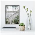 Picture of Green house IV _GroupedProduct_Rectangle_Portrait_Photography _GroupedProduct_Rectangle_Portrait_Canvas_Framed_