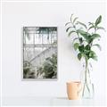 Picture of Green house IV _GroupedProduct_Rectangle_Portrait_Photography _GroupedProduct_Rectangle_Portrait_Canvas_Framed_