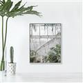 Picture of Green house IV _GroupedProduct_Rectangle_Portrait_Photography _GroupedProduct_Rectangle_Portrait_Canvas_Framed_