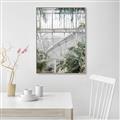 Picture of Green house IV _GroupedProduct_Rectangle_Portrait_Photography _GroupedProduct_Rectangle_Portrait_Canvas_Framed_