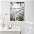 Picture of Green house IV _GroupedProduct_Rectangle_Portrait_Photography _GroupedProduct_Rectangle_Portrait_Canvas_Framed_