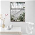 Picture of Green house IV _GroupedProduct_Rectangle_Portrait_Photography _GroupedProduct_Rectangle_Portrait_Canvas_Framed_
