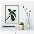 Picture of Green Sprout white _GroupedProduct_Rectangle_Portrait_Photography _GroupedProduct_Rectangle_Portrait_Canvas_Framed_