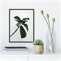 Picture of Green Sprout white _GroupedProduct_Rectangle_Portrait_Photography _GroupedProduct_Rectangle_Portrait_Canvas_Framed_