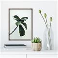 Picture of Green Sprout white _GroupedProduct_Rectangle_Portrait_Photography _GroupedProduct_Rectangle_Portrait_Canvas_Framed_