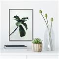 Picture of Green Sprout white _GroupedProduct_Rectangle_Portrait_Photography _GroupedProduct_Rectangle_Portrait_Canvas_Framed_