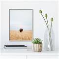 Picture of Field Guy _GroupedProduct_Rectangle_Portrait_Photography _GroupedProduct_Rectangle_Portrait_Canvas_Framed_