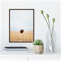Picture of Field Guy _GroupedProduct_Rectangle_Portrait_Photography _GroupedProduct_Rectangle_Portrait_Canvas_Framed_