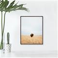Picture of Field Guy _GroupedProduct_Rectangle_Portrait_Photography _GroupedProduct_Rectangle_Portrait_Canvas_Framed_