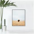 Picture of Field Guy _GroupedProduct_Rectangle_Portrait_Photography _GroupedProduct_Rectangle_Portrait_Canvas_Framed_