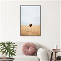 Picture of Field Guy _GroupedProduct_Rectangle_Portrait_Photography _GroupedProduct_Rectangle_Portrait_Canvas_Framed_