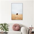 Picture of Field Guy _GroupedProduct_Rectangle_Portrait_Photography _GroupedProduct_Rectangle_Portrait_Canvas_Framed_