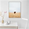 Picture of Field Guy _GroupedProduct_Rectangle_Portrait_Photography _GroupedProduct_Rectangle_Portrait_Canvas_Framed_