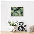 Picture of Chinese Evergreen  _GroupedProduct_Rectangle_Landscape_Photography _GroupedProduct_Rectangle_Landscape_Canvas_Framed_