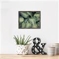 Picture of Chinese Evergreen  _GroupedProduct_Rectangle_Landscape_Photography _GroupedProduct_Rectangle_Landscape_Canvas_Framed_