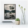 Picture of Tree Reflection _GroupedProduct_Rectangle_Portrait_Photography _GroupedProduct_Rectangle_Portrait_Canvas_Framed_