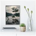 Picture of Tree Reflection _GroupedProduct_Rectangle_Portrait_Photography _GroupedProduct_Rectangle_Portrait_Canvas_Framed_