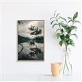 Picture of Tree Reflection _GroupedProduct_Rectangle_Portrait_Photography _GroupedProduct_Rectangle_Portrait_Canvas_Framed_