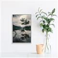 Picture of Tree Reflection _GroupedProduct_Rectangle_Portrait_Photography _GroupedProduct_Rectangle_Portrait_Canvas_Framed_
